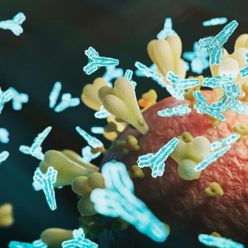 Imagen de: COOMBS Indirecto