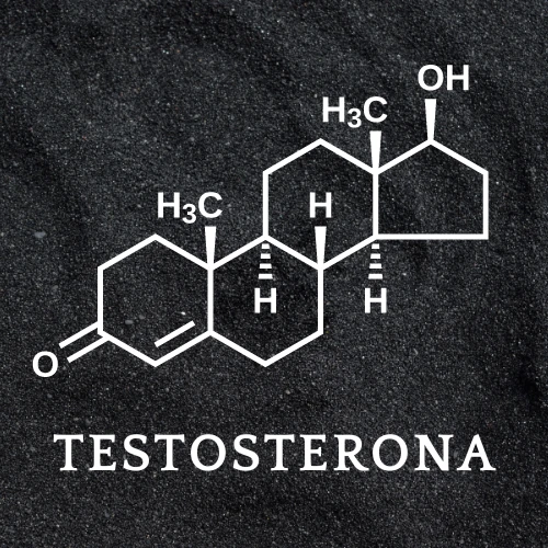 Imagen de: TESTOSTERONA