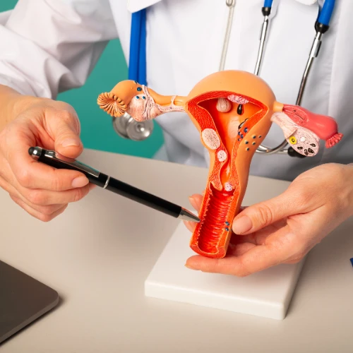 Imagen de: ANTÍGENO CA 125 (OVARIOS)